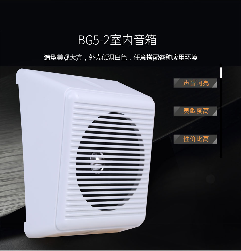 海灣BG5-2室內音箱特點